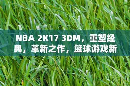 NBA 2K17 3DM图片