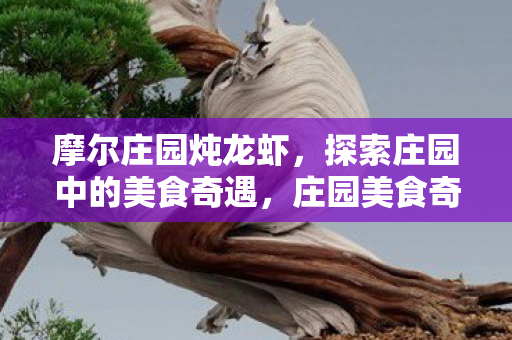 摩尔庄园炖龙虾，探索庄园中的美食奇遇，庄园美食奇遇，炖龙虾的诱人滋味