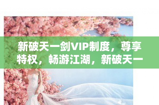 新破天一剑VIP制度，尊享特权，畅游江湖，新破天一剑VIP特权，畅游江湖，尊享特权体验