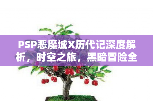 PSP恶魔城X历代记深度解析图片