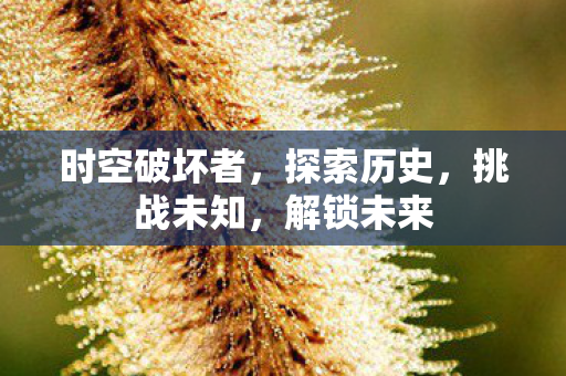 时空破坏者图片