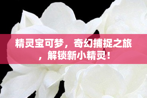 精灵宝可梦，奇幻捕捉之旅，解锁新小精灵！