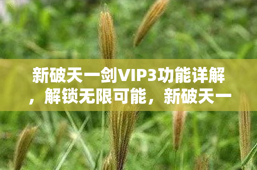 新破天一剑VIP3功能详解，解锁无限可能，新破天一剑VIP3功能全面解析，解锁游戏无限可能