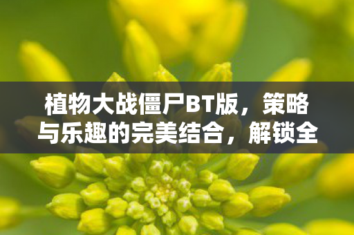 策略与乐趣的完美结合图片