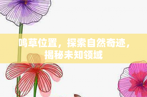 鸣草位置，探索自然奇迹，揭秘未知领域