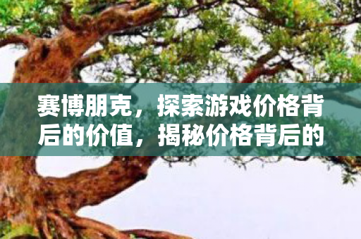 赛博朋克，探索游戏价格背后的价值，揭秘价格背后的秘密