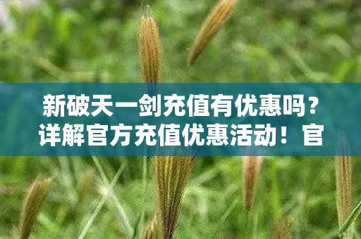 新破天一剑充值有优惠吗？详解官方充值优惠活动！官方充值优惠活动详解，新破天一剑充值有优惠吗？