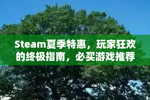 Steam夏季特惠，玩家狂欢的终极指南，必买游戏推荐