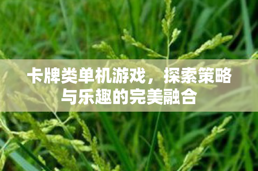 卡牌类单机游戏，探索策略与乐趣的完美融合
