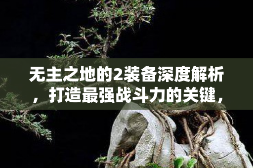 无主之地的2装备深度解析，打造最强战斗力的关键，武器选择