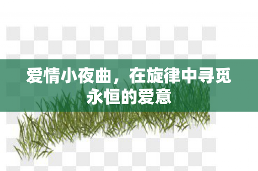 爱情小夜曲，在旋律中寻觅永恒的爱意