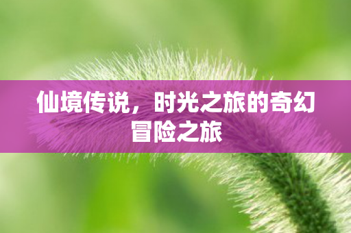 仙境传说，时光之旅的奇幻冒险之旅