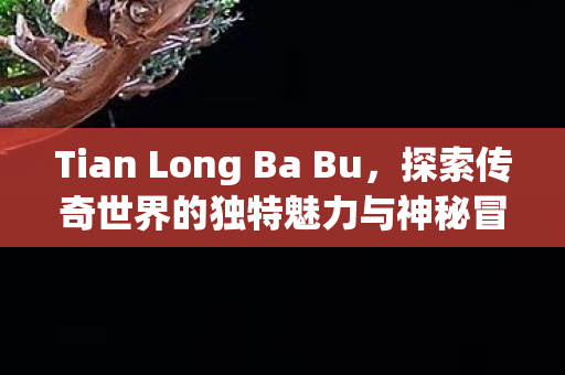 Tian Long Ba Bu，探索传奇世界的独特魅力与神秘冒险