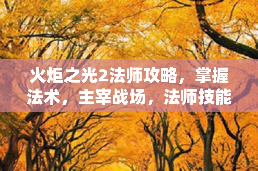 火炬之光2法师攻略，掌握法术，主宰战场，法师技能详解