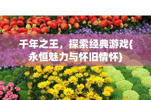永恒魅力与怀旧情怀图片