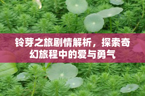 铃芽之旅剧情解析,探索奇幻旅程中的爱与勇气 铃芽之旅剧情解析,探索奇幻旅程中的爱与勇气