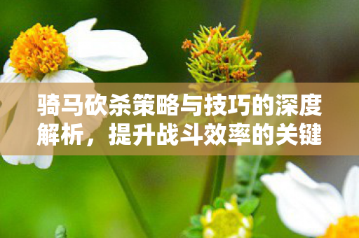 骑马砍杀策略与技巧的深度解析,提升战斗效率的关键步骤 骑马砍杀策略与技巧的深度解析,提升战斗效率的关键步骤