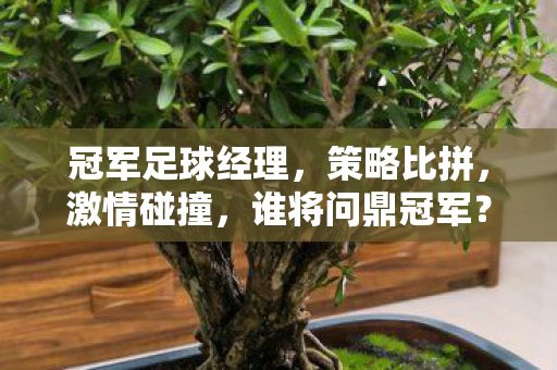 冠军足球经理,策略比拼,激情碰撞,谁将问鼎冠军? 冠军足球经理,策略比拼,激情碰撞,谁将问鼎冠军?