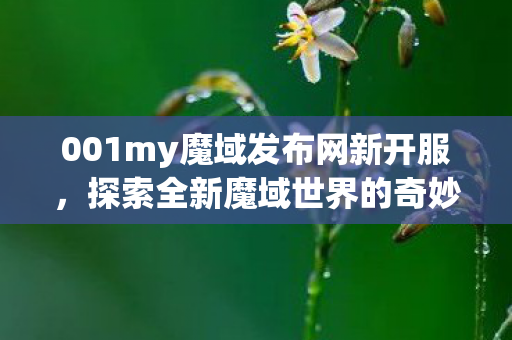 001my魔域发布网新开服图片