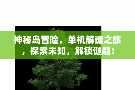 神秘岛冒险，单机解谜之旅，探索未知，解锁谜题！