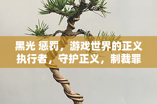 黑光 惩罚，游戏世界的正义执行者，守护正义，制裁罪恶！