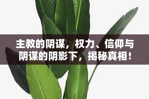 主教的阴谋，权力、信仰与阴谋的阴影下，揭秘真相！
