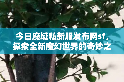 魔域私新服发布网sf等你来挑战图片