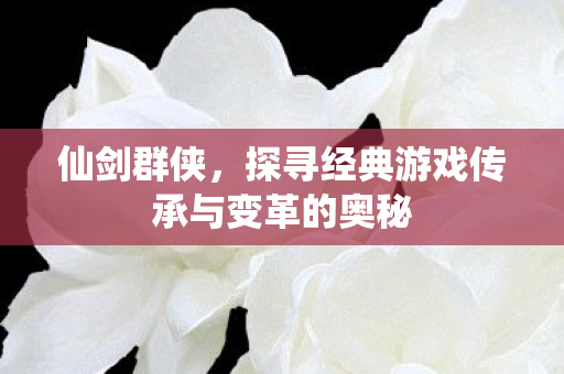 探寻经典游戏传承与变革的奥秘图片