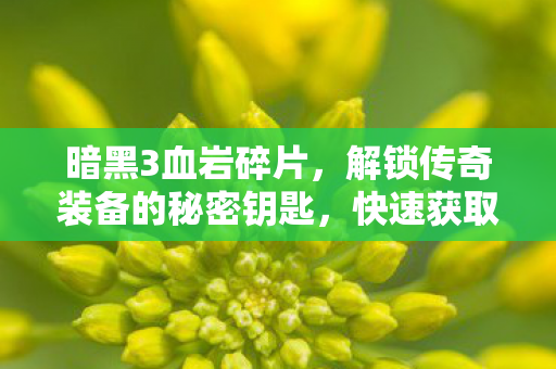 暗黑3血岩碎片，解锁传奇装备的秘密钥匙，快速获取技巧分享！