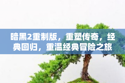 暗黑2重制版，重塑传奇，经典回归，重温经典冒险之旅