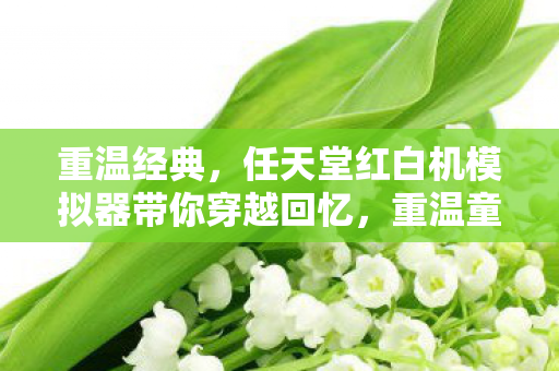 重温经典，任天堂红白机模拟器带你穿越回忆，重温童年经典游戏！