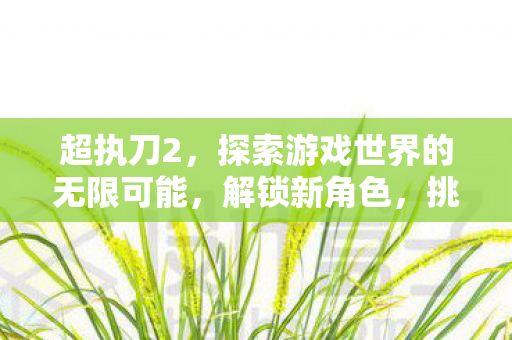 超执刀2,探索游戏世界的无限可能,解锁新角色,挑战新剧情 超执刀2,探索游戏世界的无限可能,解锁新角色,挑战新剧情
