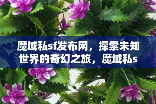 探索未知世界的奇幻之旅图片