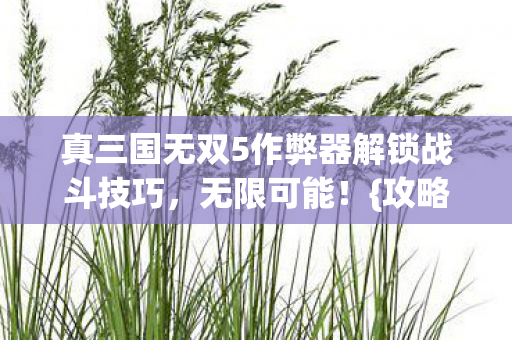 真三国无双5作弊器解锁战斗技巧图片