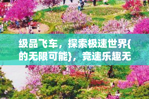 级品飞车，探索极速世界{的无限可能}，竞速乐趣无极限