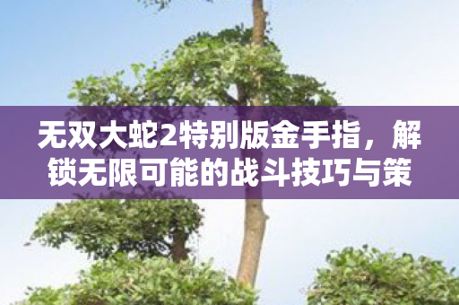 解锁无限可能的战斗技巧与策略图片
