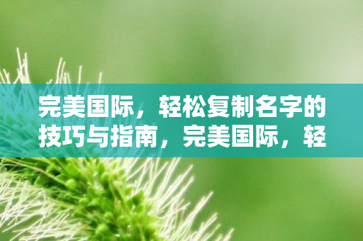 完美国际，轻松复制名字的技巧与指南，完美国际，轻松复制名字的技巧与指南