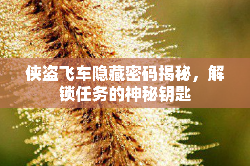 侠盗飞车隐藏密码揭秘图片
