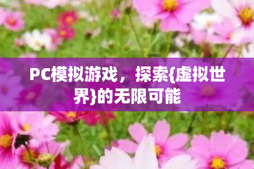 PC模拟游戏,探索{虚拟世界}的无限可能 PC模拟游戏,探索{虚拟世界}的无限可能