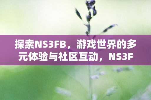 探索NS3FB，游戏世界的多元体验与社区互动，NS3FB，多元游戏世界与社区互动的探索之旅