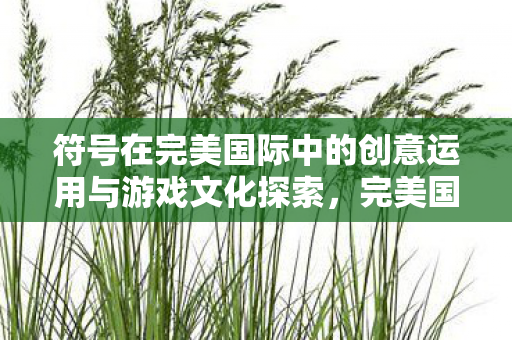 符号在完美国际中的创意运用与游戏文化探索，完美国际符号创意运用与游戏文化探索