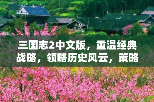 策略对决一触即发图片