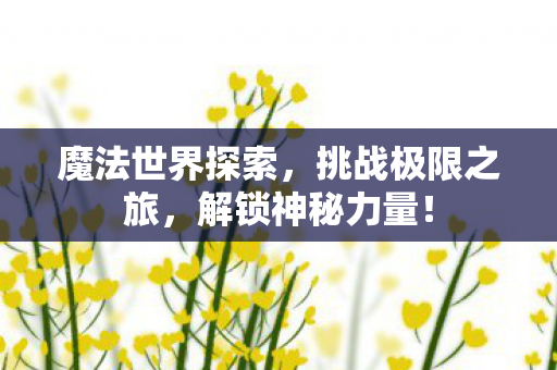 魔法世界探索图片