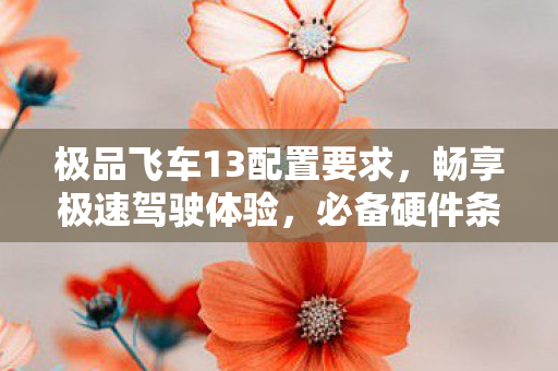 极品飞车13配置要求，畅享极速驾驶体验，必备硬件条件解析