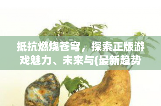 抵抗燃烧苍穹，探索正版游戏魅力、未来与{最新趋势}