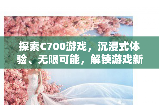 探索C700游戏，沉浸式体验、无限可能，解锁游戏新境界！