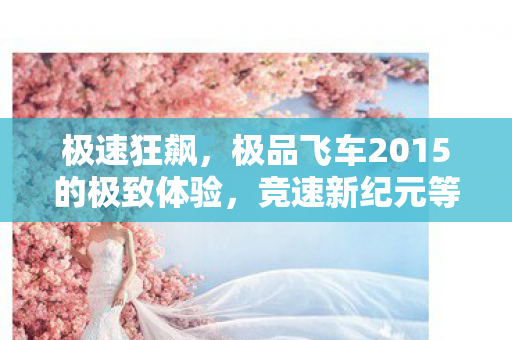 极品飞车2015的极致体验图片