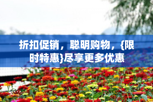 折扣促销，聪明购物，{限时特惠}尽享更多优惠
