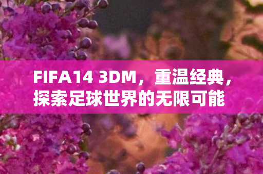 FIFA14 3DM，重温经典，探索足球世界的无限可能 - 3DM版游戏下载体验
