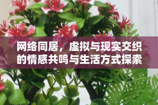 网络同居，虚拟与现实交织的情感共鸣与生活方式探索